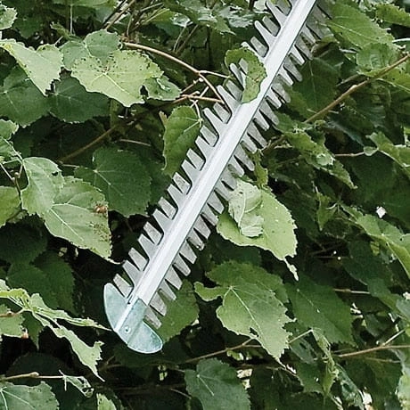 9852